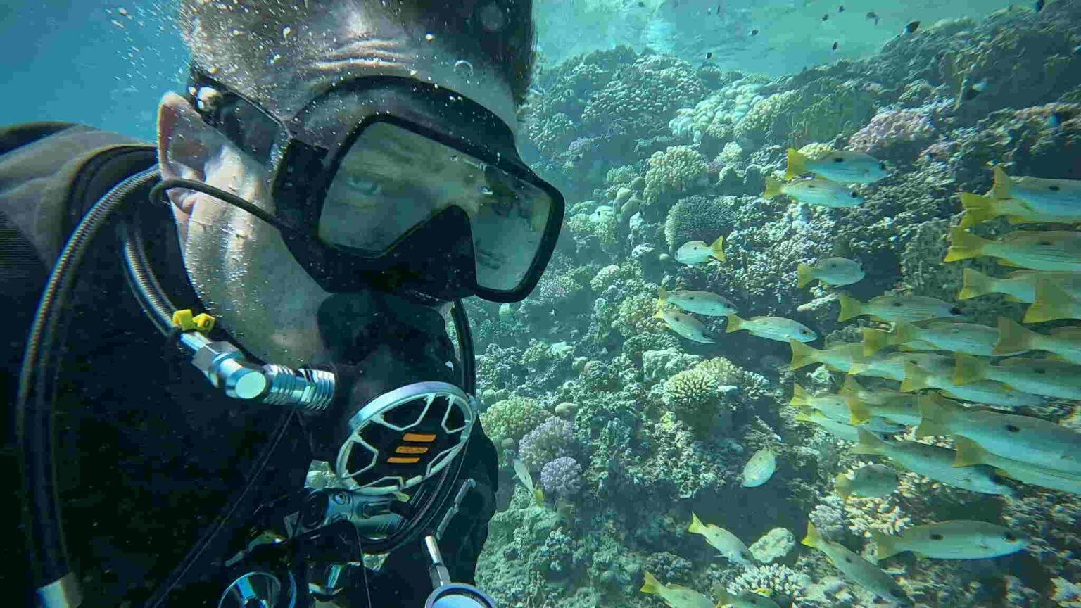 Kurs nurkowania | Nawigacja podwodna | Bydgoszcz | nurkowanie | divepl.com